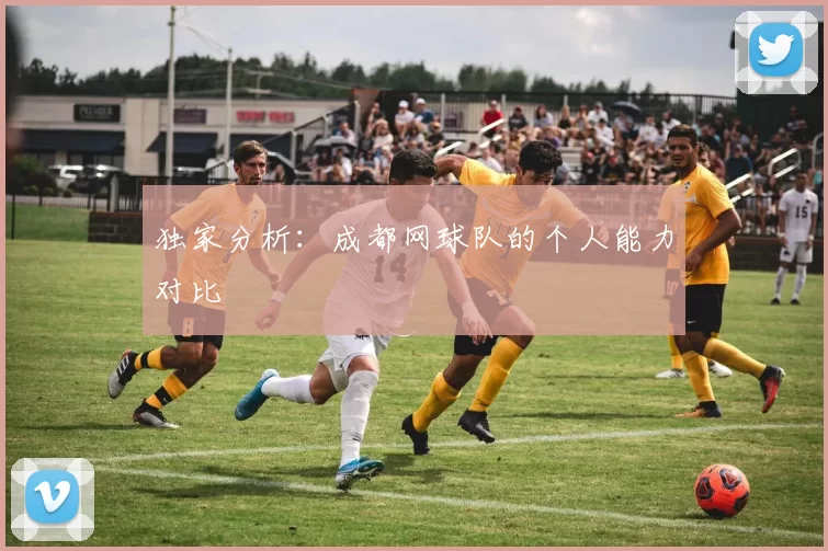 独家分析：成都网球队的个人能力对比