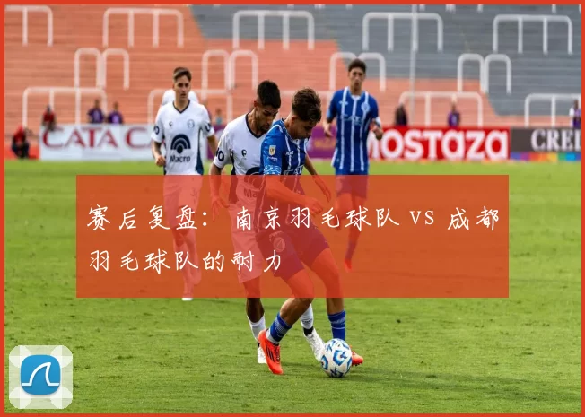 赛后复盘：南京羽毛球队 vs 成都羽毛球队的耐力