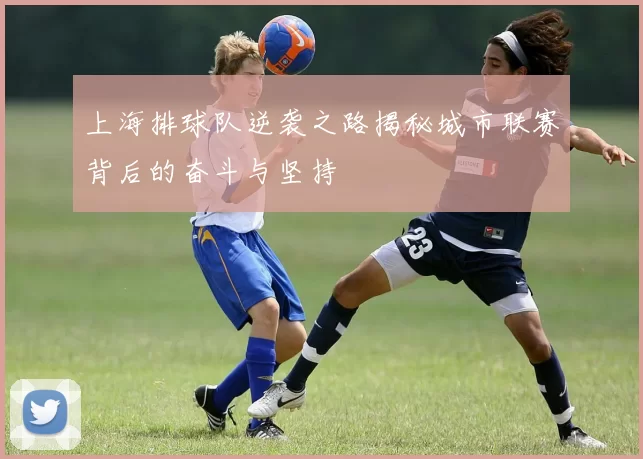 上海排球队逆袭之路揭秘城市联赛背后的奋斗与坚持