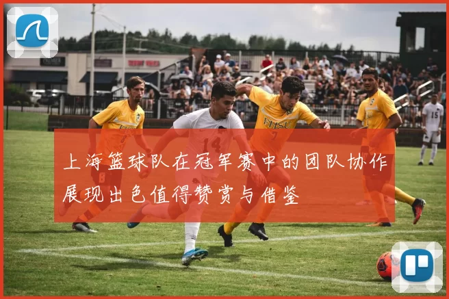 上海篮球队在冠军赛中的团队协作展现出色值得赞赏与借鉴